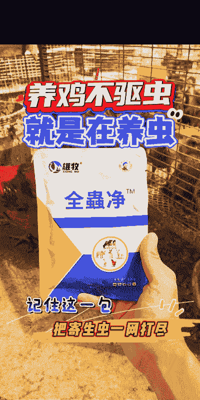 小鸡啄肛用什么药