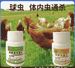 鸡绦虫病用什么药