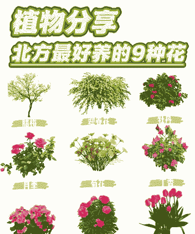 北方地区适合养什么