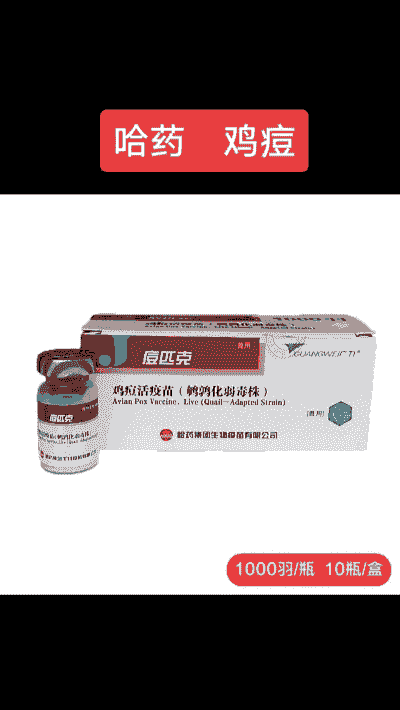 鸡豆病用什么药