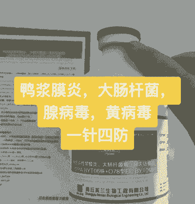 蛋鸭感冒用什么药