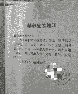 禁养区不能养什么