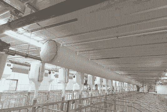 养殖场用什么降温