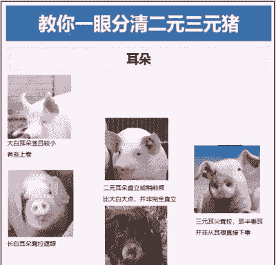 什么是二元杂猪