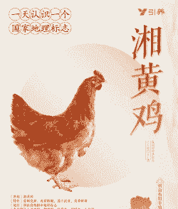 湖南适合养什么鸡