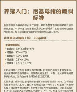 后背母猪喂什么料