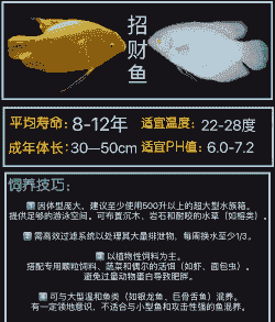 水产养什么最赚钱