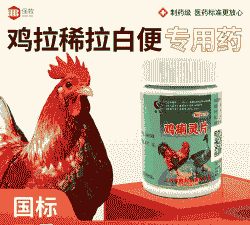 肉鸡拉稀用什么药