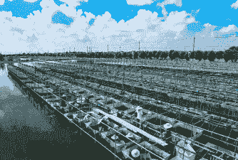 江苏地区适合养殖什么