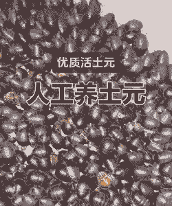 养殖土元用什么土