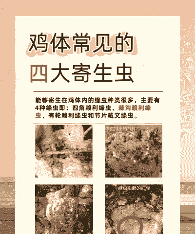 生鸡肉有什么寄生虫