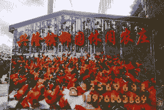 海南养殖业什么最赚钱