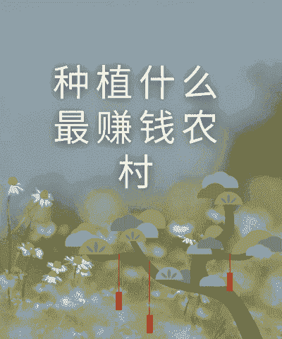 种地什么最赚钱
