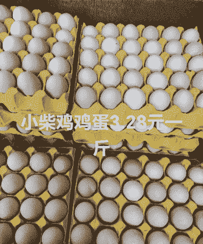 柴鸡蛋什么价位