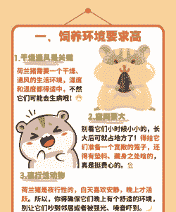 什么地方不能养猪