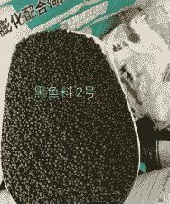 养黑鱼用什么饲料