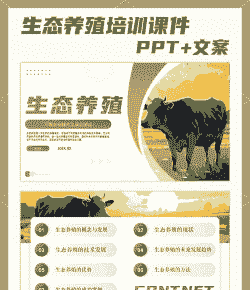 生态养殖什么意思