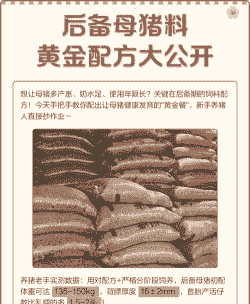 母猪喂什么料最好