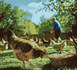 农村养什么前景好