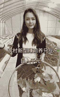 乡下养什么最赚钱