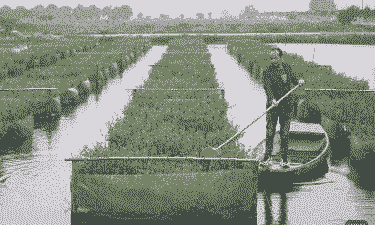 湖北搞什么养殖好