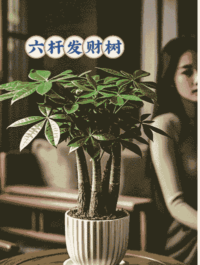 养什么发家致富