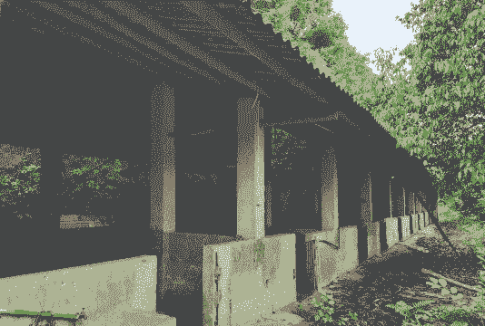 废弃猪场好干什么