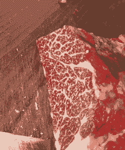 雪花牛肉为什么那么贵