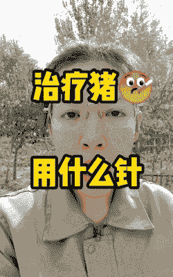 猪感冒发烧打什么针