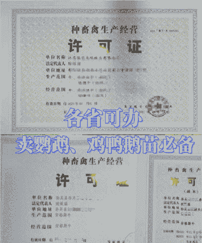 土鸡养殖需要什么证件