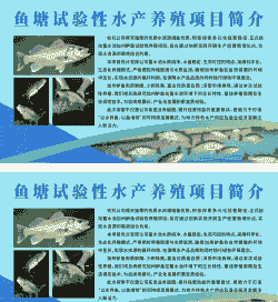 水产养殖有什么好项目