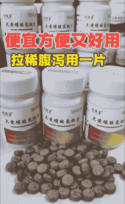 仔猪黄痢吃什么药