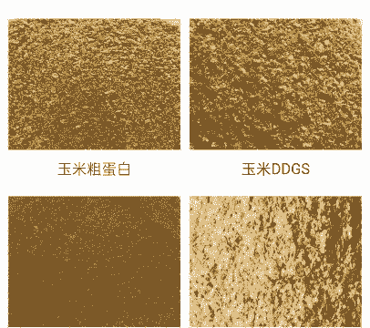 生产饲料需要什么原料