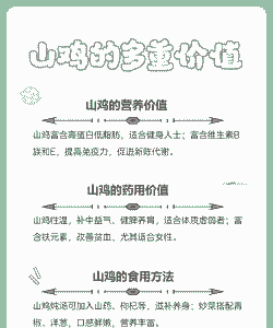 山地养鸡需要注意什么