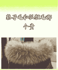 貉子毛是什么毛价钱