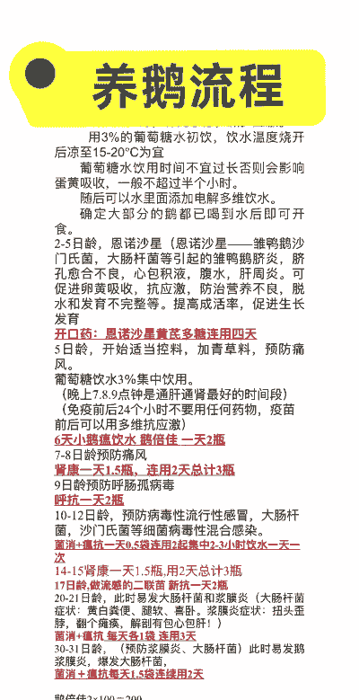 养鹅需要什么技术