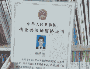 学兽医需要什么资格