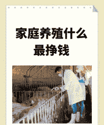 家庭养殖业什么最赚钱
