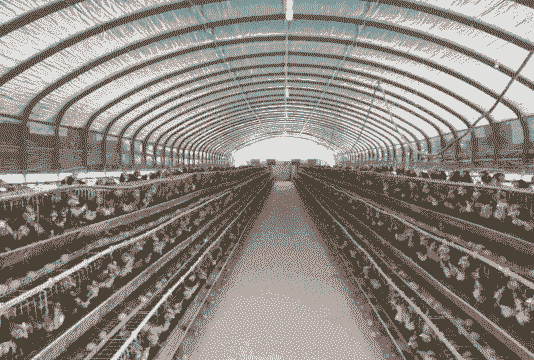 什么地能建养殖场