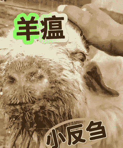 养羊人容易得什么病