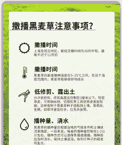 黑麦草什么时候种植