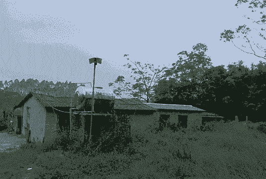 养殖什么占地面积小