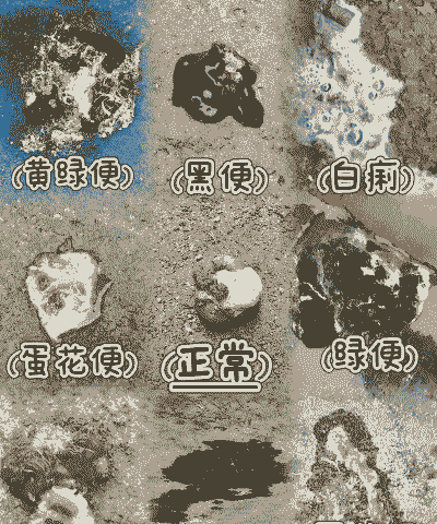 鸡拉白稀粪是什么病