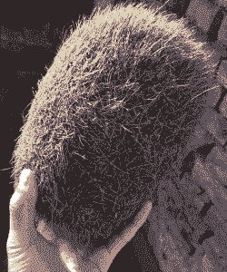 猪胃里的毛球是什么