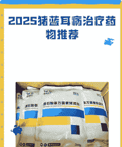 猪得蓝耳病喂什么药