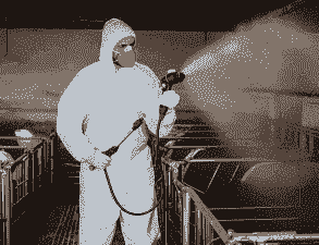 猪场用什么消毒