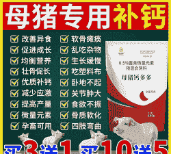 母猪缺钙吃什么