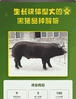 什么黑猪长的快