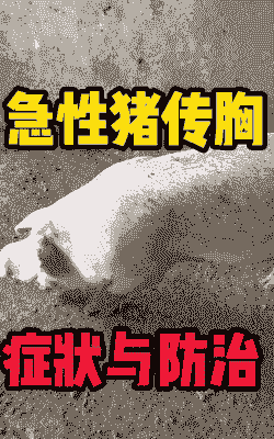 猪感冒有什么症状