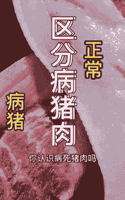 猪吃什么会得生病